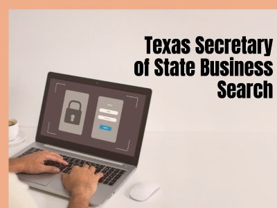 texas secretary of state business search