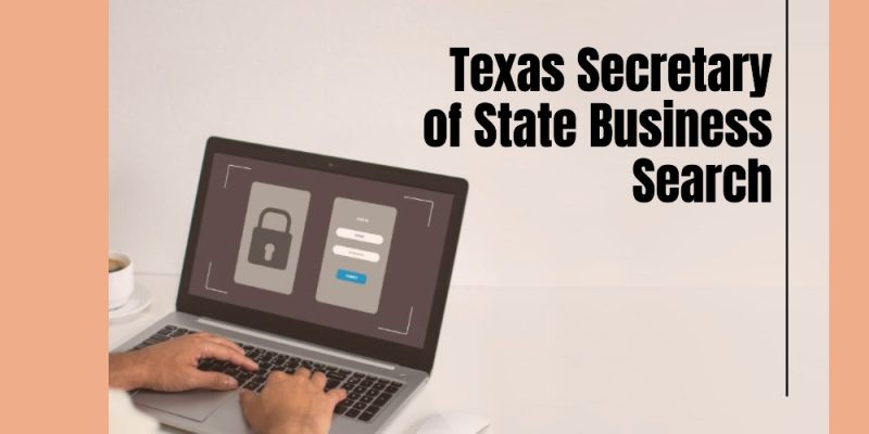 texas secretary of state business search